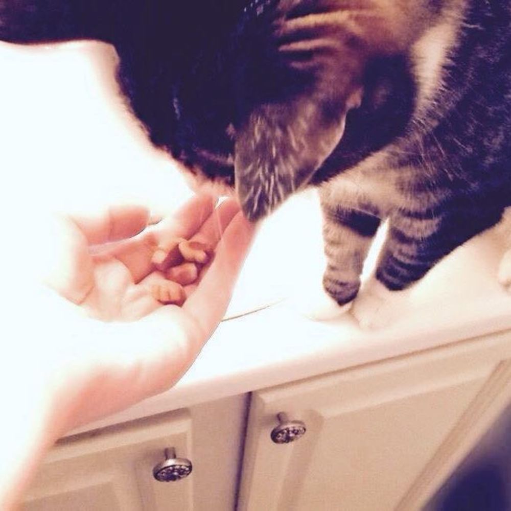 Meet your Posher, Tonya